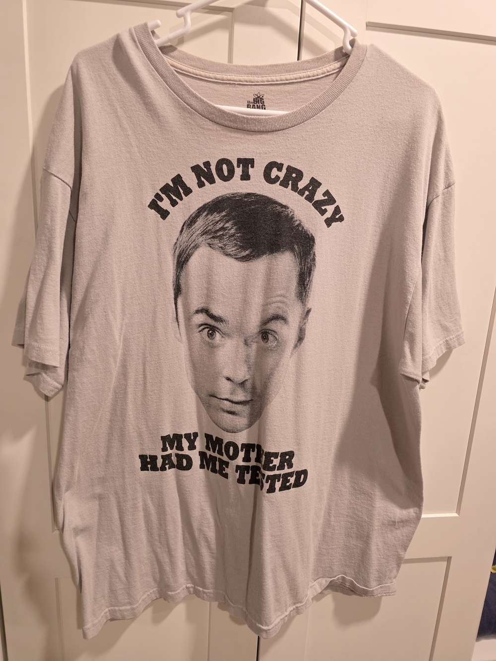 Graphic Novelty Men's Tee in Light Gray - I'm Not Crazy Print